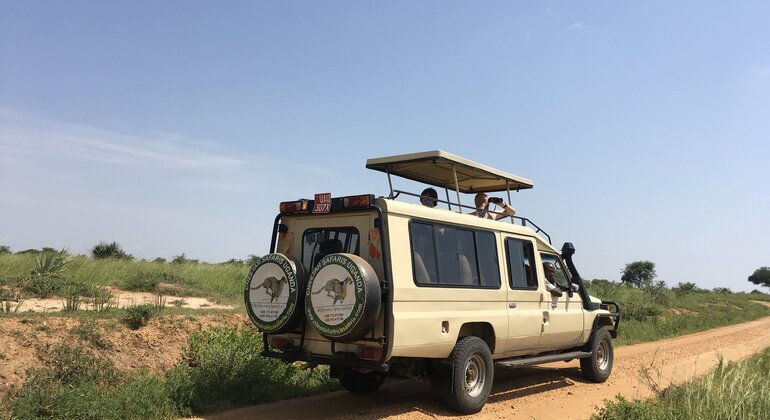 Luxus-Safari zu den „Big Five“ in Uganda