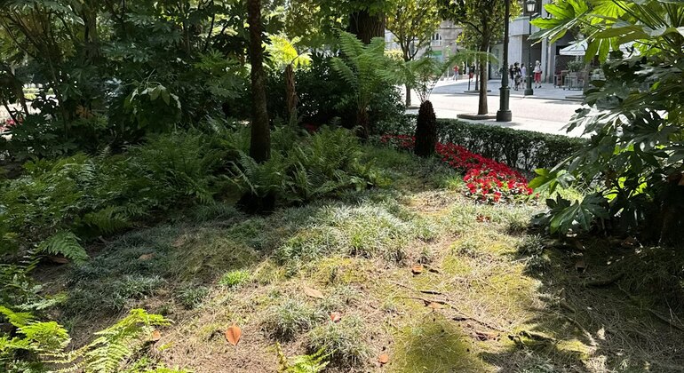 Vigo entdecken: Spiel zur eigenständigen Erkundung & Stadtrundgang
