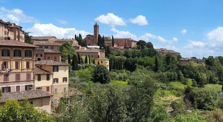 Las Contrade de Siena: juego de exploración autoguiado y recorrido a pie