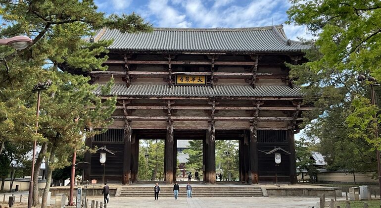 La mejor visita guiada gratuita por Nara: descúbrelo todo en un solo día