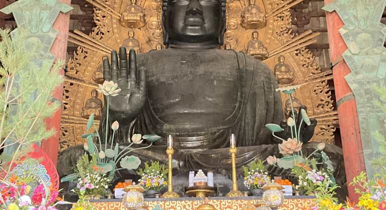 La mejor visita guiada gratuita por Nara: descúbrelo todo en un solo día