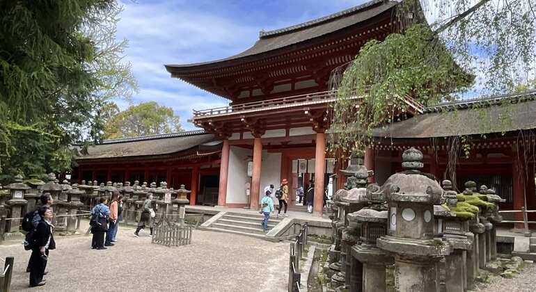 La mejor visita guiada gratuita por Nara: descúbrelo todo en un solo día