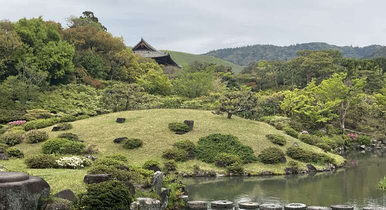 La mejor visita guiada gratuita por Nara: descúbrelo todo en un solo día