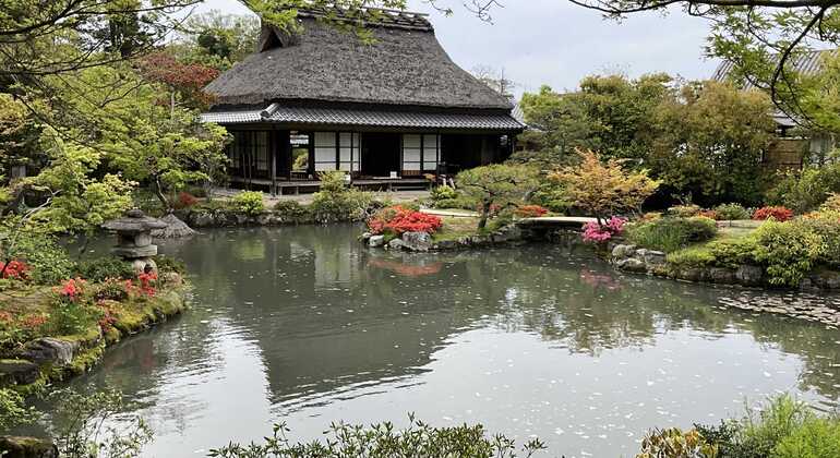 La mejor visita guiada gratuita por Nara: descúbrelo todo en un solo día