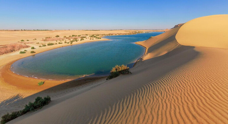 Tour von Kairo zur Fayoum-Oase und zu den Wasserfällen von Wadi El-Rayan