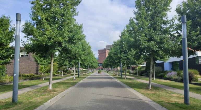 Geister von Enschede: Spiel zur eigenständigen Erkundung & Stadtrundgang