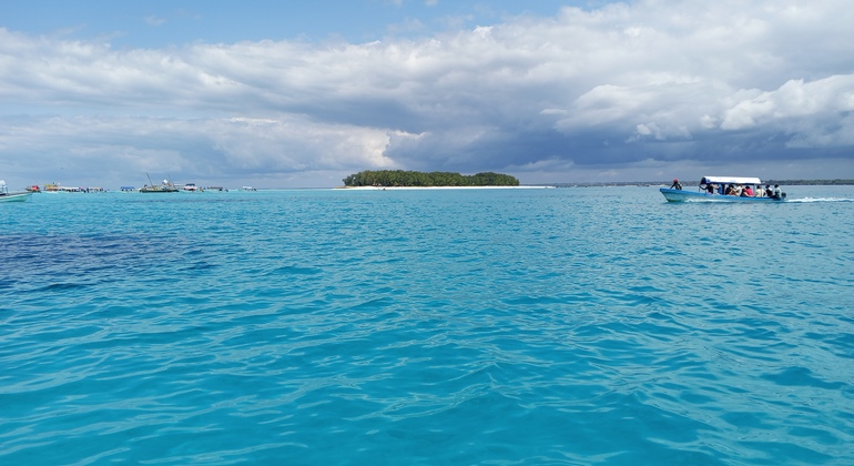 Excursión para ver delfines y hacer snorkel en Mnemba