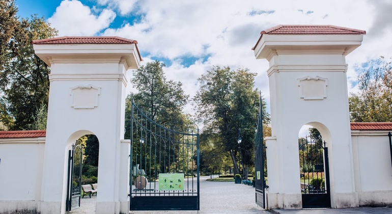 Vilnius's Old Town Gems: Self-Guided Exploration Game & Walking Tour