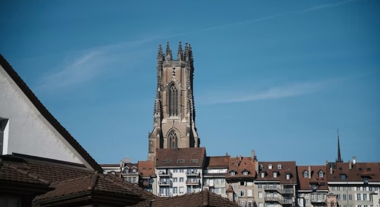 Der fliegende Drache von Freiburg: Spiel zur eigenständigen Erkundung