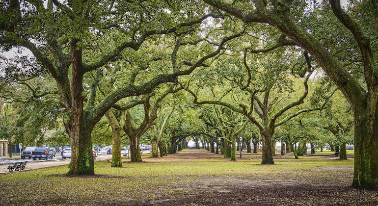 Application audio autoguidée : Visite de la ville de Charleston