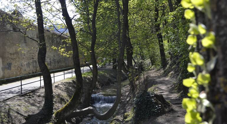 Brasov romantique : jeu d'exploration en autonomie et visite guidée à pied