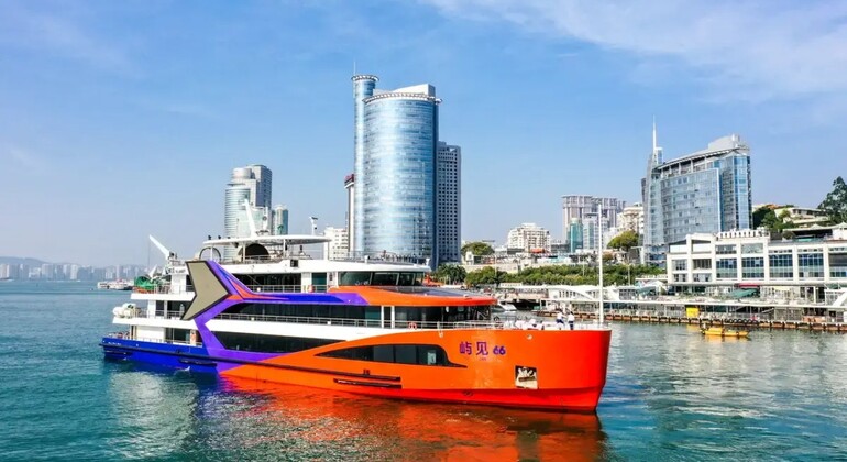 Croisière nocturne sur le Lujiang : une sonate de lumières flottant sur la mer
