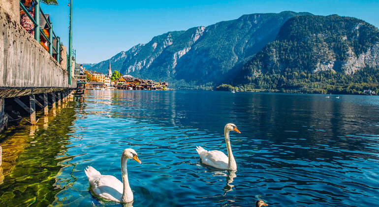 Aplicación de audioguía: Recorrido por la ciudad de Hallstatt