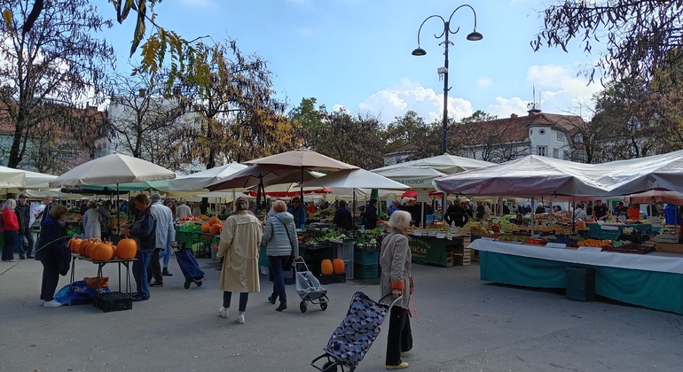 Explore Ljubljana: History, Culture and Local Charm