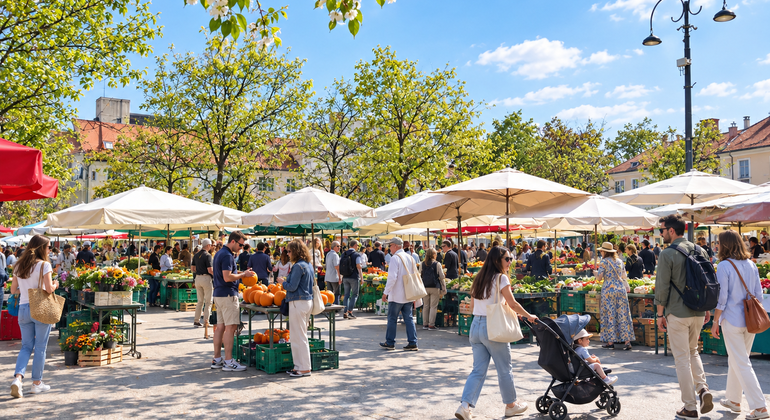 Explore Ljubljana: History, Culture and Local Charm