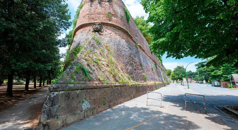 Aplicación de audioguía: Recorrido por la ciudad de Siena