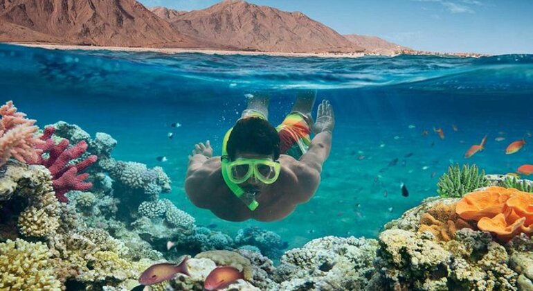 Hurghada Orange Bay Snorkeling Cruise with Lunch