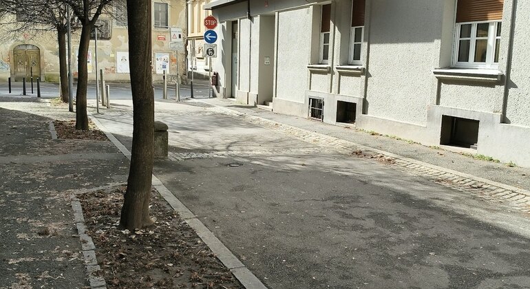 Crowns of Maribor: Self Guided Exploration Game & Walking Tour
