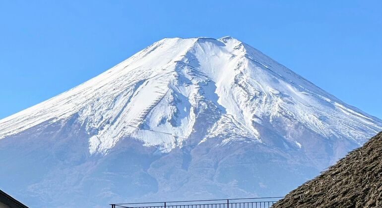 Tokio-Tour: Fuji, Oishi-Park, Kawaguchi-See und Oshino Hakkai