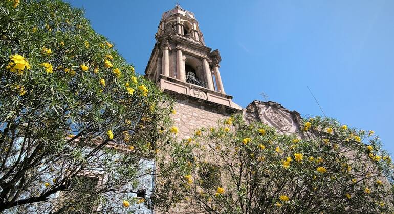 Verborgene Schätze von Aguascalientes: Spiel zur eigenständigen Erkundung