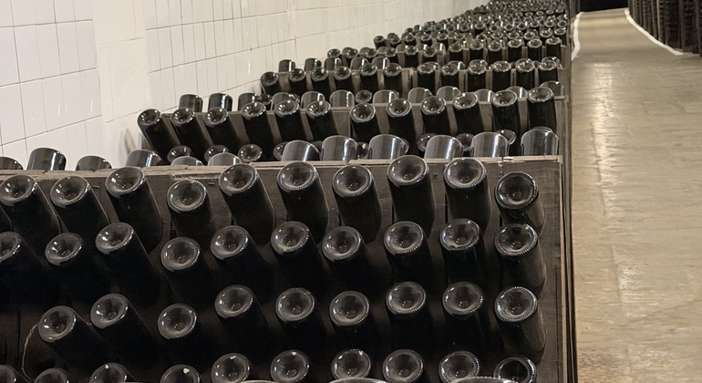 Moldova Wine Tour: Cricova & Family Winery