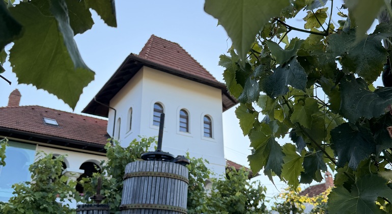 Moldova Wine Tour: Cricova & Family Winery