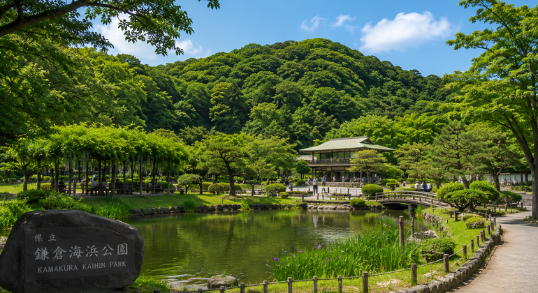 Tokio: Excursión de un día a Kamakura y Enoshima con entradas a los templos incluidas