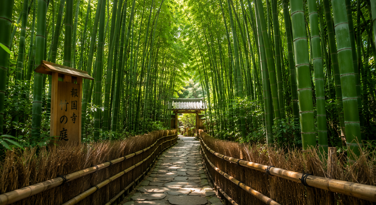 Tokio: Excursión de un día a Kamakura y Enoshima con entradas a los templos incluidas