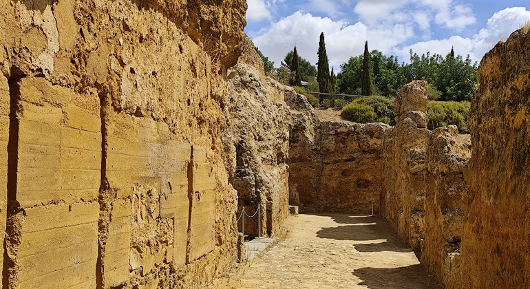 Visita Guiada a la Necrópolis de Carmona