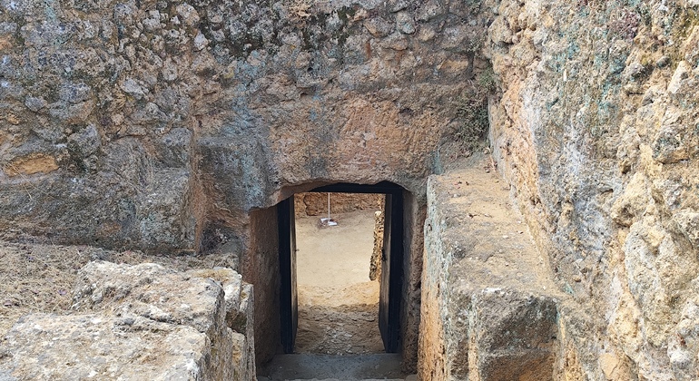 Visita Guiada a la Necrópolis de Carmona