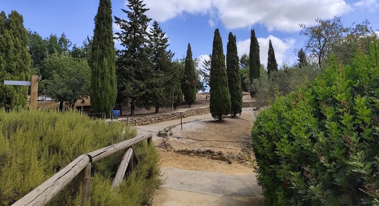 Visita Guiada a la Necrópolis de Carmona