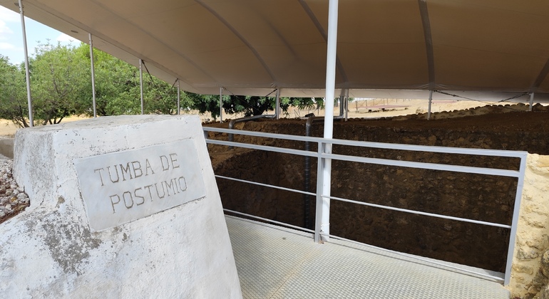 Visita Guiada a la Necrópolis de Carmona