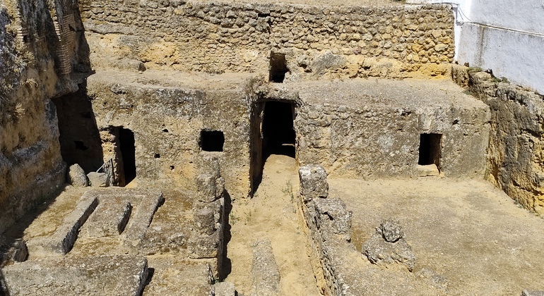 Visita Guiada a la Necrópolis de Carmona