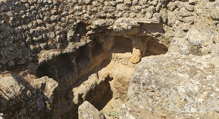 Visita Guiada a la Necrópolis de Carmona