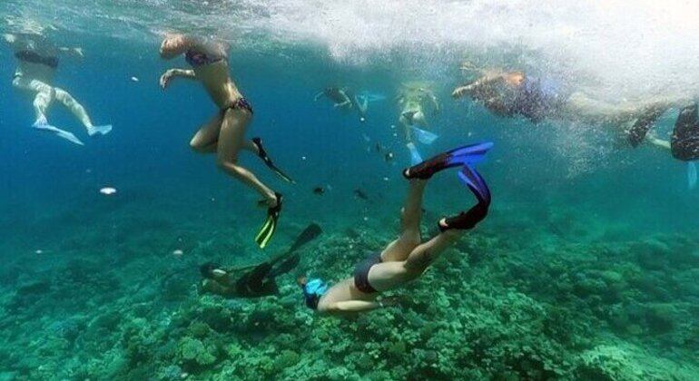 Hula Hula Island Beach Escape Cruise Hurghada