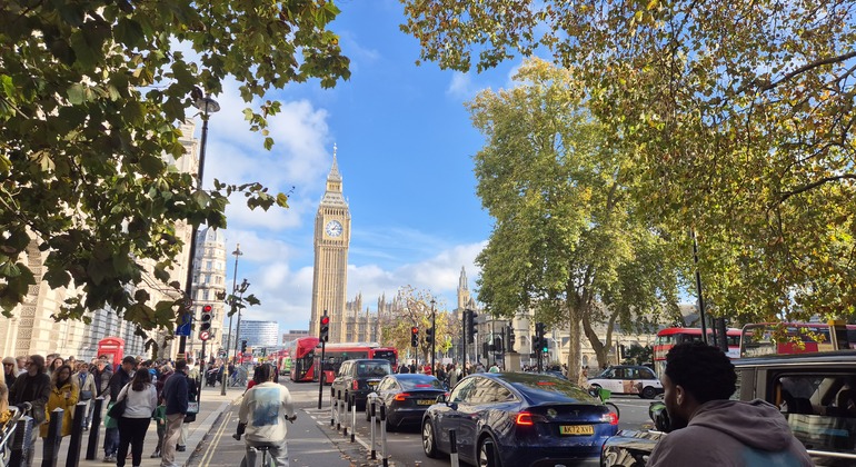 Visita guiada por el Londres real y político: del Arco de Wellington a Westminster