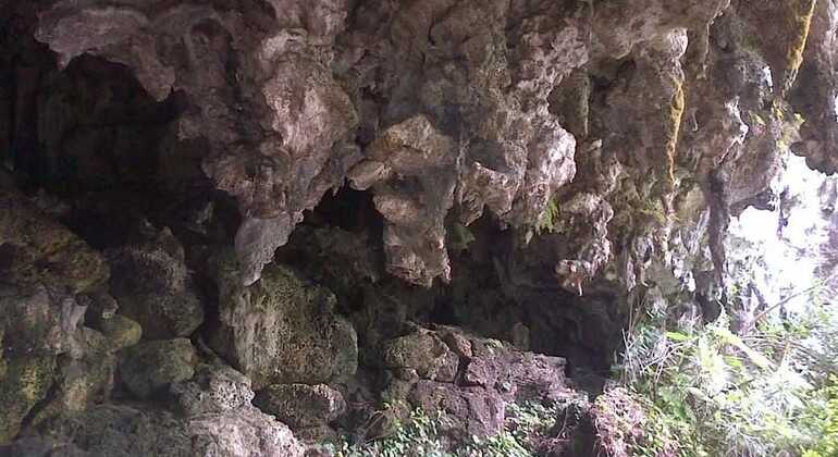 Tres Ojos & Faro Colon Tour