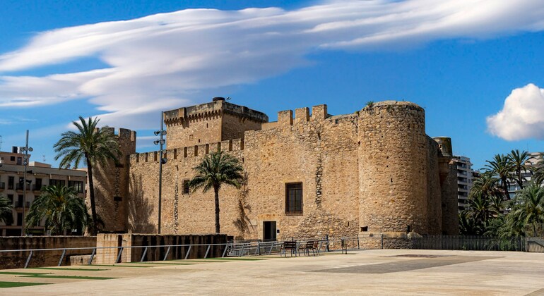 Entdecken Sie Elche: Eine Stadt voller Palmen, Geschichte und lokales Leben