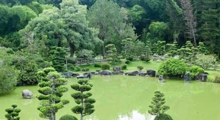 Santo Domingo: Ecoturismo Dia Completo