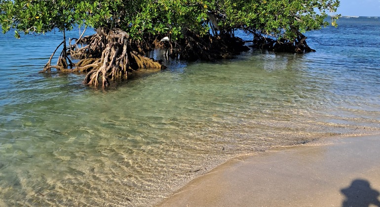 Excursión Samaná: Cayo Levantado & Las Terrenas