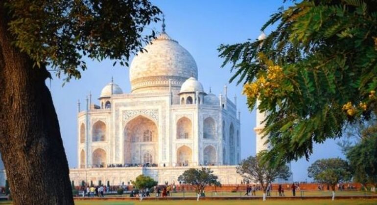 Taj-Mahal-Sonnenaufgangstour mit dem Auto ab Delhi