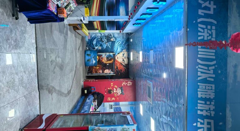 Shenzhen: Mowan Ice Sculpture Park Entry Ticket