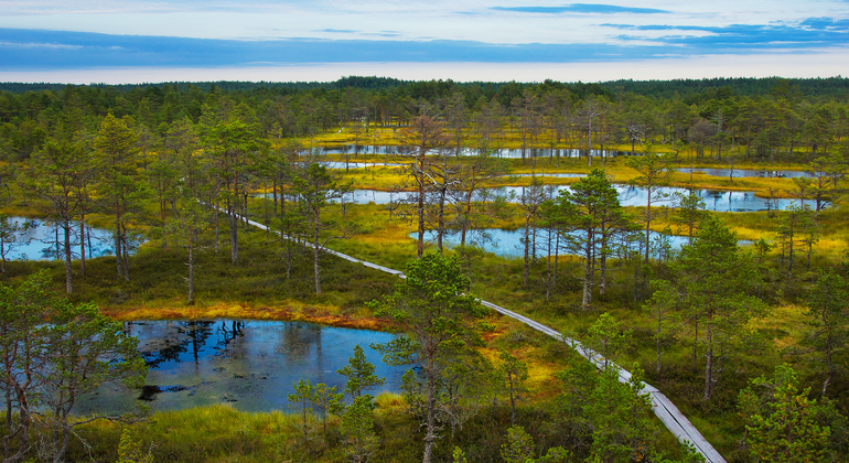 Lahemaa National Park Day Trip from Tallinn