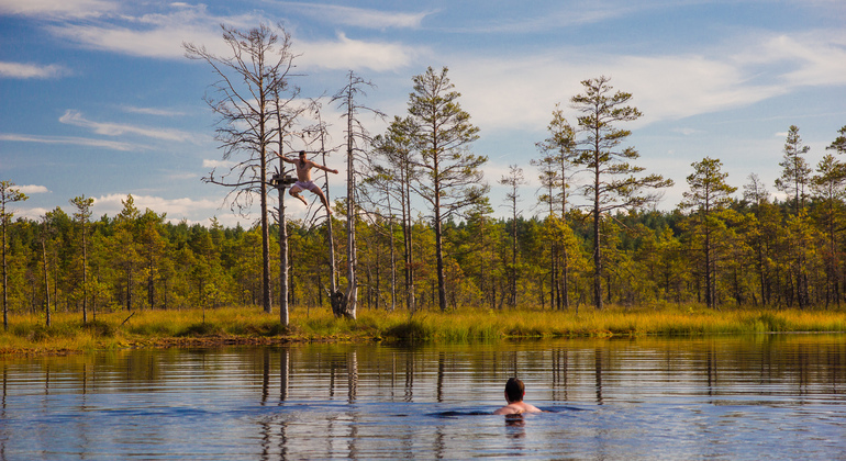 Lahemaa National Park Day Trip from Tallinn