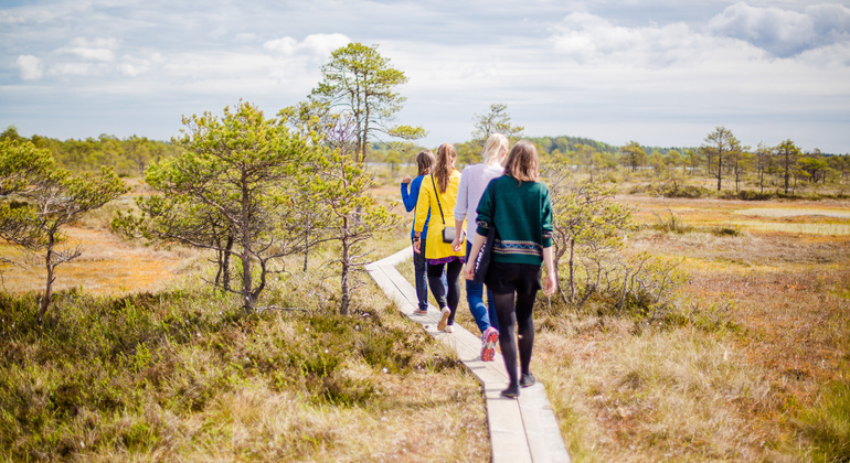 Lahemaa National Park Day Trip from Tallinn