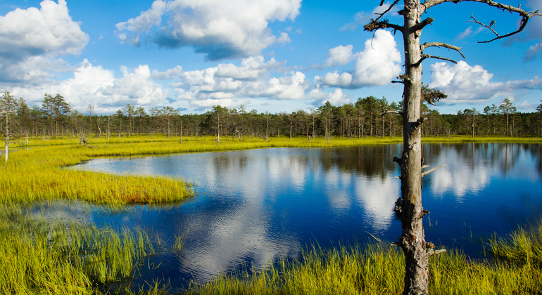 Lahemaa National Park Day Trip from Tallinn