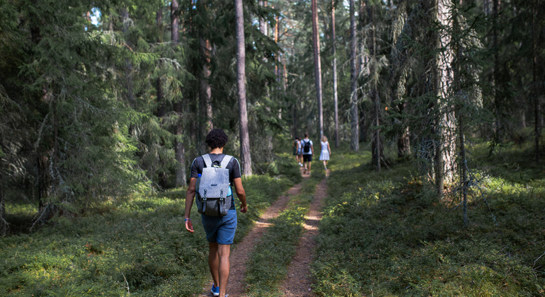 Lahemaa National Park Day Trip from Tallinn