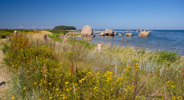 Lahemaa National Park Day Trip from Tallinn