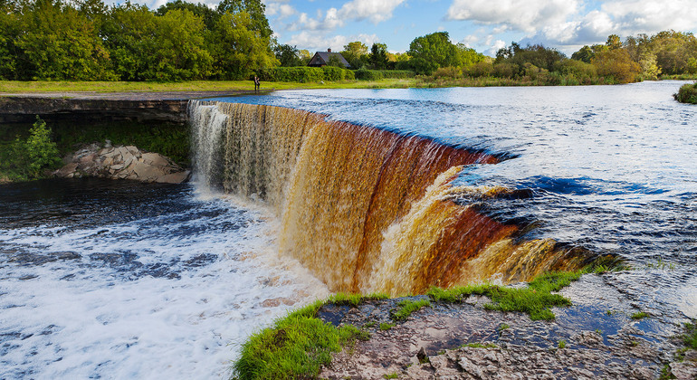 Lahemaa National Park Day Trip from Tallinn