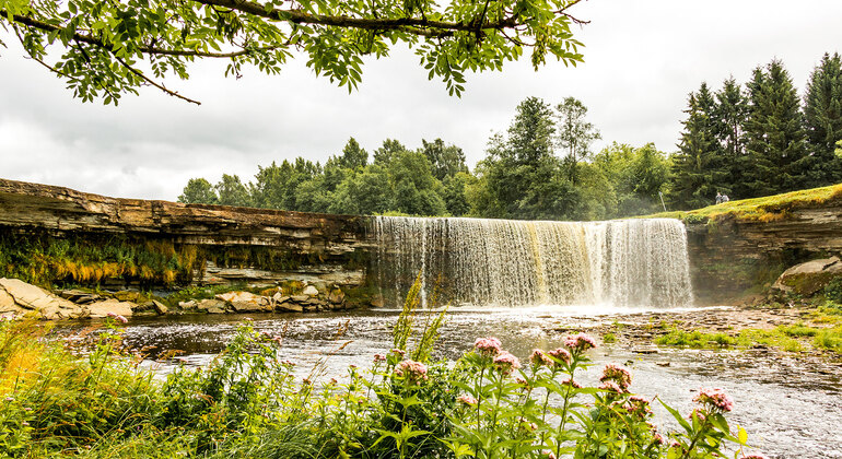 Lahemaa National Park Day Trip from Tallinn